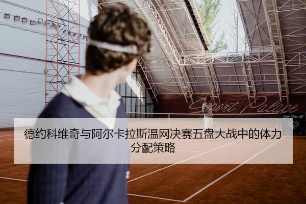 de-yue-ke-wei-qi-yu-a-er-ka-la-si-wen-wang-jue-sai-wu-pan-da-zhan-zhong-de-ti-li-fen-pei-ce-lve-3-449.jpg