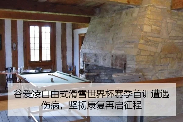 gu-ai-ling-zi-you-shi-hua-xue-shi-jie-bei-sai-ji-shou-xun-zao-yu-shang-bing-jian-ren-kang-fu-zai-qi-zheng-cheng-3-774.jpg