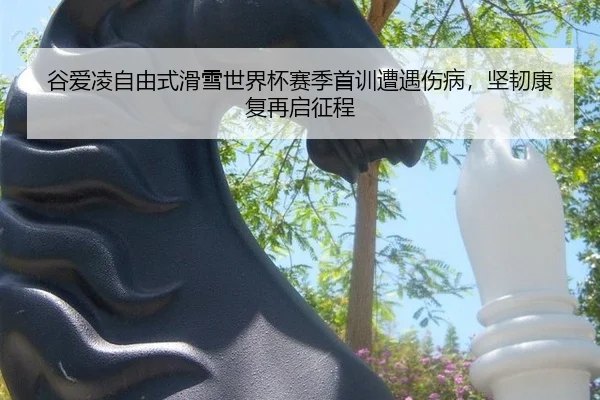 谷爱凌自由式滑雪世界杯赛季首训遭遇伤病，坚韧康复再启征程
