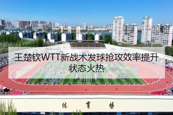 王楚钦WTT新战术发球抢攻效率提升状态火热